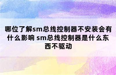 哪位了解sm总线控制器不安装会有什么影响 sm总线控制器是什么东西不驱动